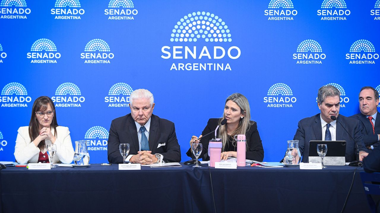 Comisión de Presupuesto y Hacienda, para tratar el Súper-RIGI.