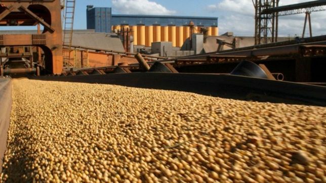 exportaciones bonaerenses en la pandemia: desplome industrial y granos en alza