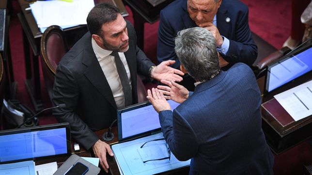 Ezequiel Atauche (LLA) y Víctor Zimmermann (UCR), durante la sesión en que se avaló la ley de ATN que vetó Javier Milei.&nbsp;