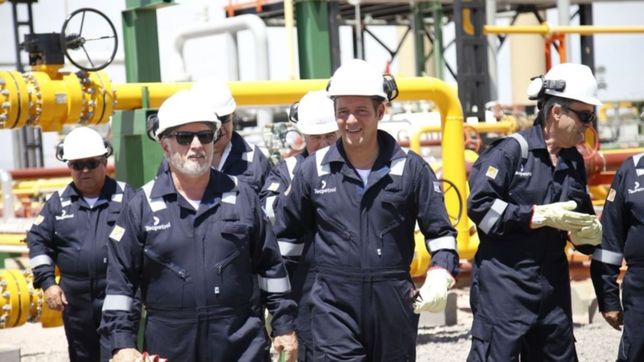 la consultora de aranguren destrozo el congelamiento de naftas