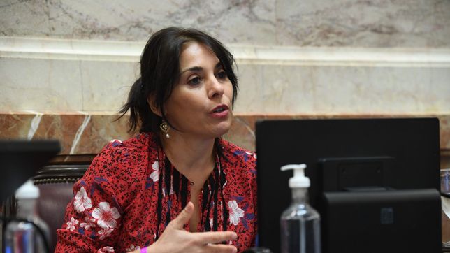 senado: massa sumo un voto tras el debate y se ilusiona con los dos tercios 