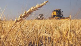 La montaña rusa de los fertilizantes pone en riesgo U$S 4.000 millones del campo