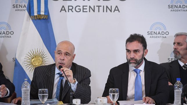 Bartolomé Abdala y Ezequiel Atauche, senadores de La Libertad Avanza, durante el debate de la ley ómnibus. 