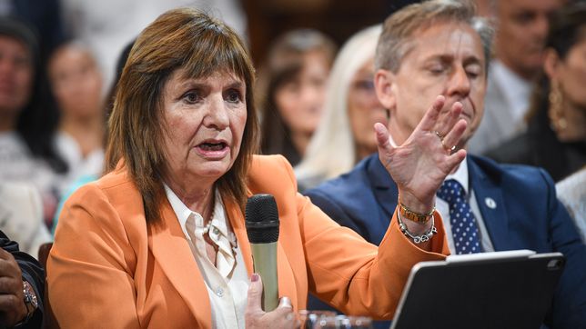 Patricia Bullrich.&nbsp;