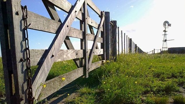 con foco en lo impositivo, el campo prepara planteos post pandemia