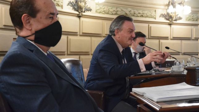 la campana divide a la tropa radical en el senado de santa fe