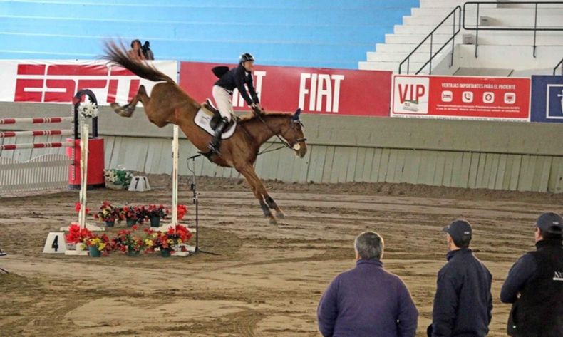 Equitación Equitación