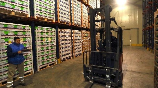 rio negro exporta: los destinos que la provincia pretende encontrar