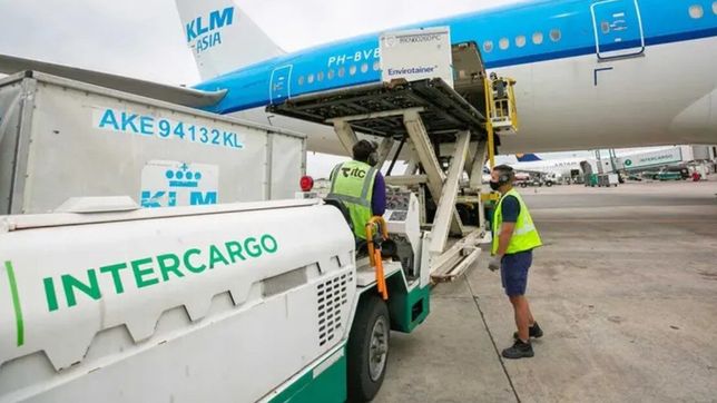 que hace intercargo, la empresa que quiere privatizar el gobierno de milei