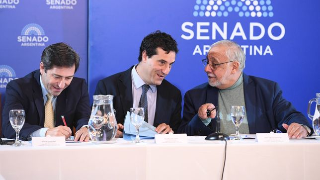 Martín Goerling Lara (PRO), Maximiliano Abad (UCR) y Juan Carlos Pagotto (La Libertad Avanza), durante la Comisión de Acuerdo del Senado. No avanzan los pliegos de Mahiques.&nbsp;