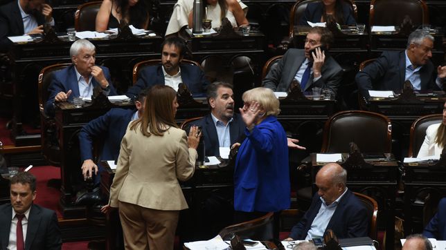 El bloque PRO de Diputados. 