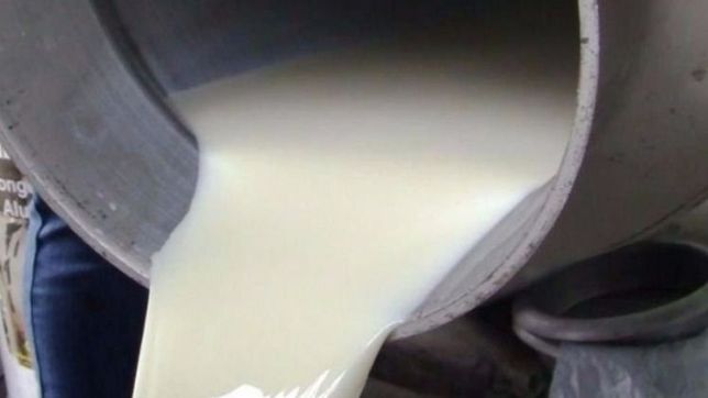 por crisis en el sector, en santa fe regalaran 10 mil litros de leche