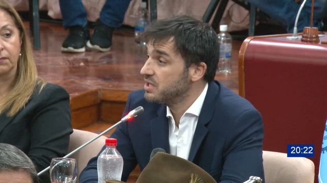 torres: el objetivo del gobierno es disciplinar a todas las provincias