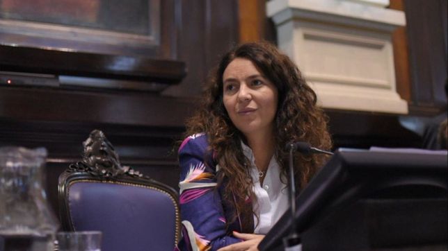 la polemica por la quita del busto de kirchner en moron llego a diputados