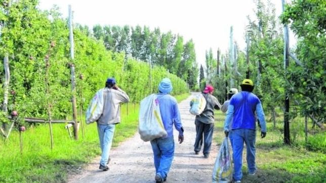 patagonia: el protocolo de trabajadores migrantes se empantana en los municipios