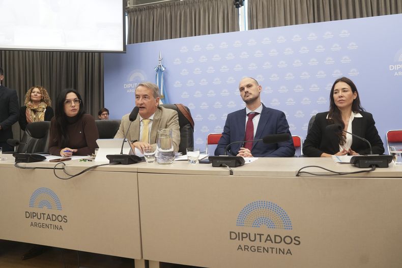 El debate de la ley de lobby de Javier Milei.&nbsp;