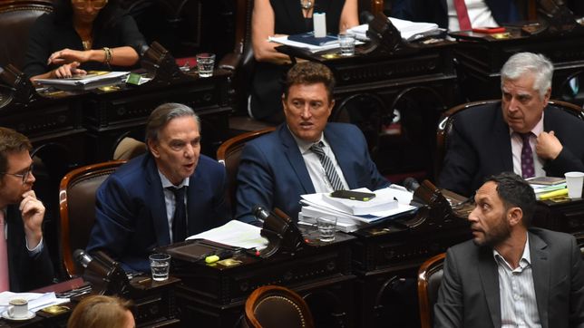 Miguel Pichetto, durante la sesión en Diputados.