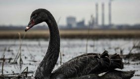 Alerta Venezuela; el mercado emite señales de un posible cisne negro para el modelo de Javier Milei.