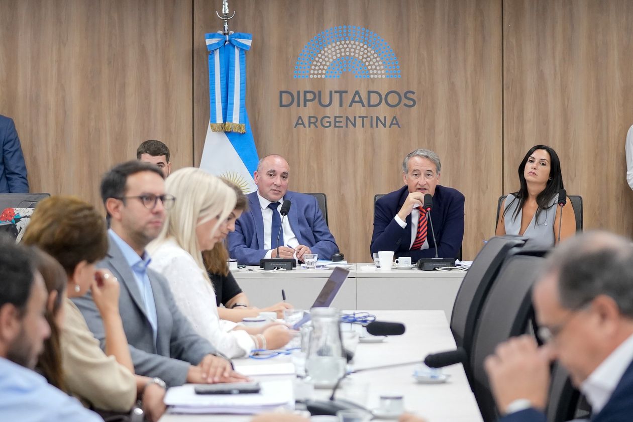 José Peluc y Nicolás Mayoraz (La Libertad Avanza), diputados que representan al Gobierno en la reforma de la ley de glaciares.&nbsp;