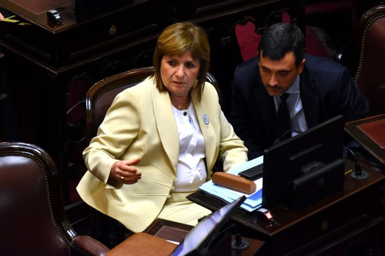 Patricia Bullrich y Agustín Coto, en el Senado.&nbsp;
