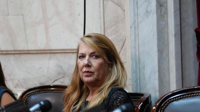 Alejandro Torres (Provincias Unidas), autora de uno de los proyectos de los gobernadores.&nbsp;