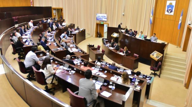 es ley la emergencia sanitaria en neuquen