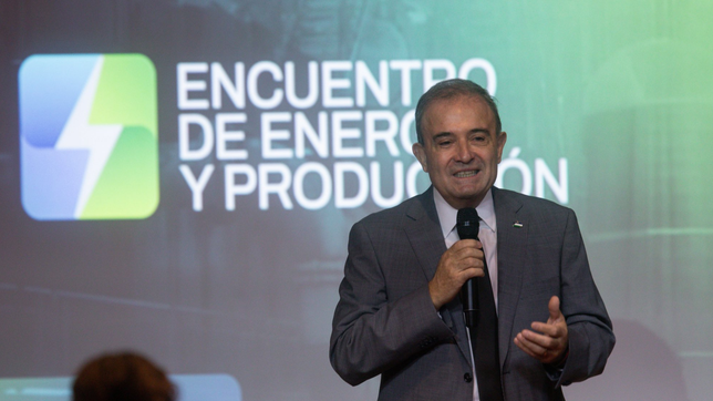 Pedro Pesatti no será el candidato del oficialismo de Río Negro.&nbsp;