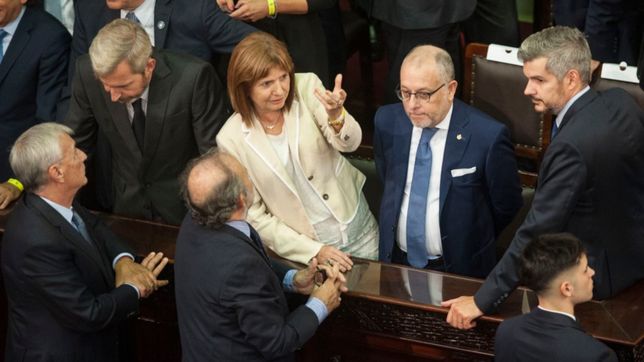 bullrich: no planteamos un cogobierno, los responsables somos nosotros