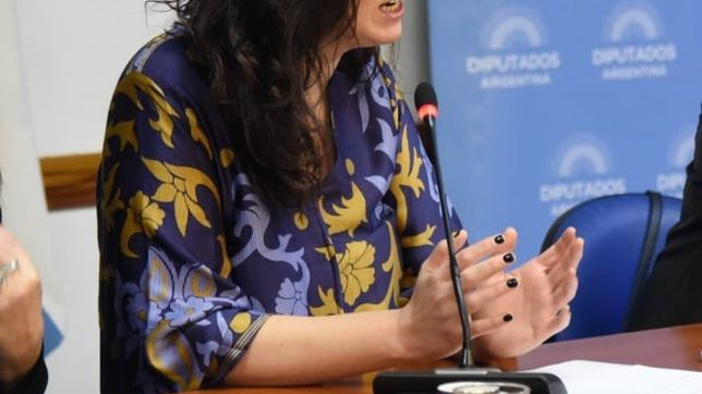 una diputada de bullrich sera presidenta de la comision de libertad de expresion en diputados