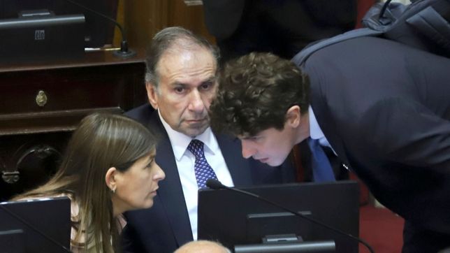 el pro se pliega al acuerdo ucr-cfk y lousteau se queda solo