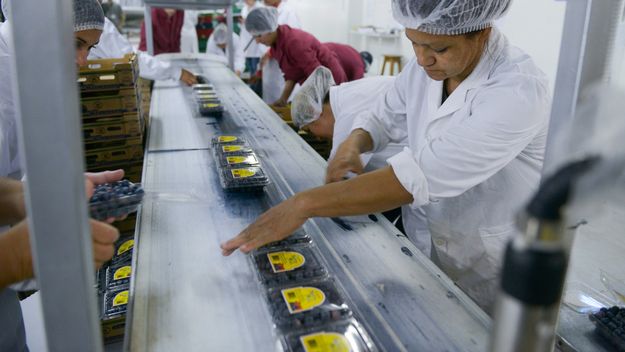 Javier Milei pisa las paritarias para doblegar a los gremios antes de la reforma laboral Javier Milei pisa las paritarias para doblegar a los gremios antes de la reforma laboral