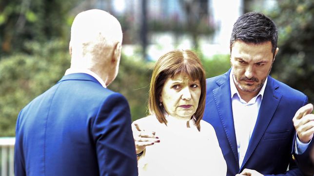 una sociedad (casi) fifty-fifty, condicion larretista para una campana de unidad
