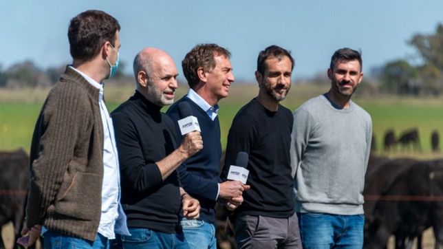 la campana de la grieta, la apatia y la incertidumbre