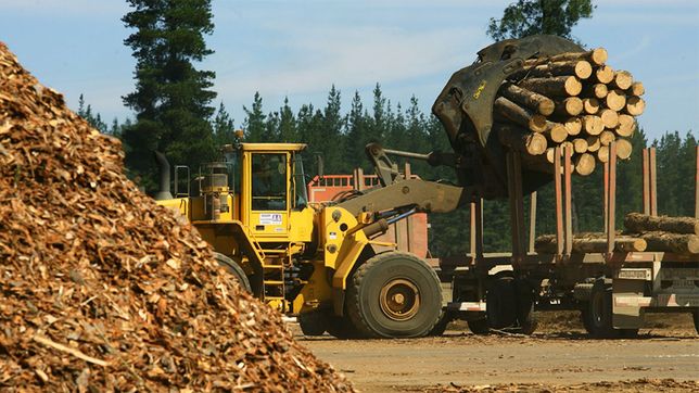 La industria forestal espera el RIGI de Javier Milei