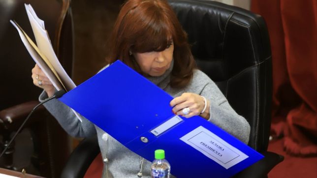 el senado inicia el tratamiento del aborto legal