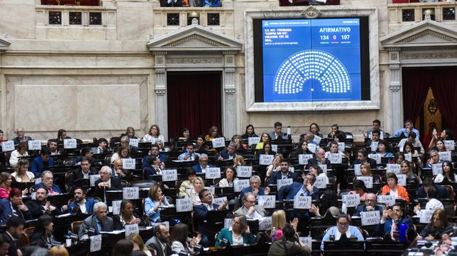 massa logro aprobar la devolucion de iva con respaldo de milei y schiaretti