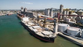 Agroexportadoras en la pandemia: embarques récord y una deuda millonaria