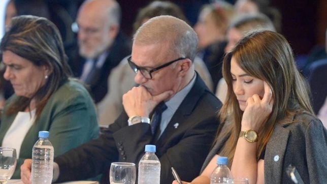 Carlos Arce y Sonia Rojas Decut, claves en el Senado para la ley ómnibus de Javier Milei.&nbsp;