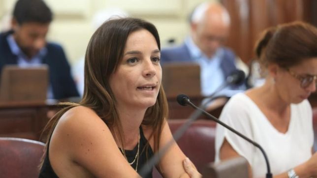 santa fe: quienes son las tres caras sub-40 de la oposicion para la reforma constitucional