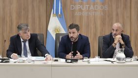 Martín Tetaz, diputado de la UCR.&nbsp;