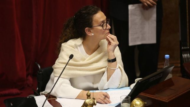 cinco productoras concentraron la pauta del senado que maneja michetti