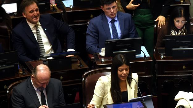 El bloque del Gobierno en el Senado.&nbsp;