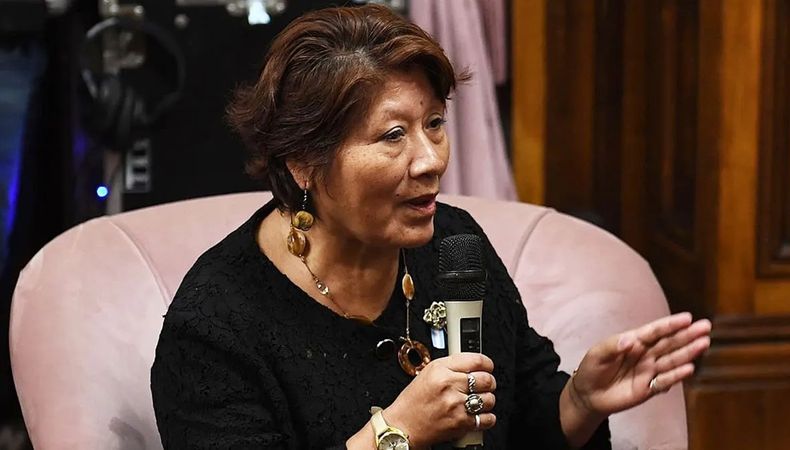Vilma Bedia, senadora por Jujuy de La Libertad Avanza