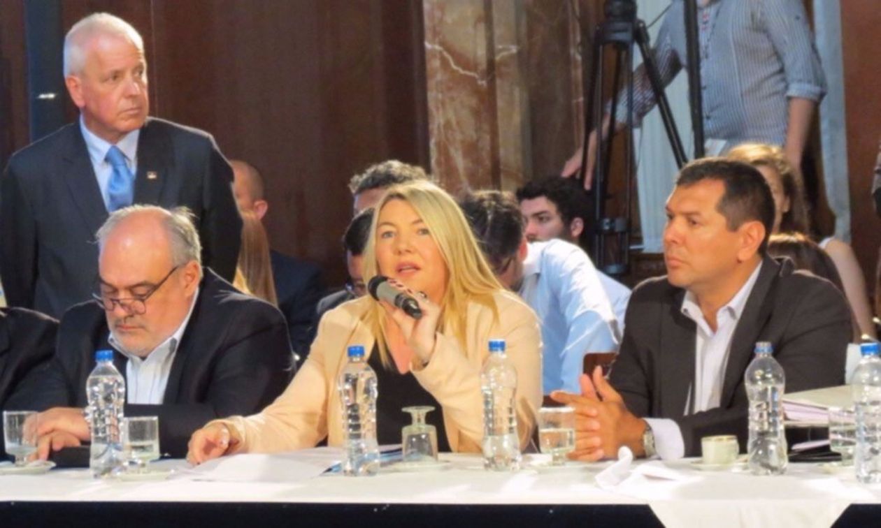 Rosana Bertone