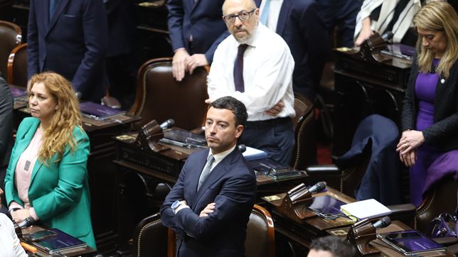 Rodrigo De Loredo y Karina Banfi, autoridades del bloque UCR, donde por ahora no hay acuerdo para echar a Guillermo Francos.&nbsp;