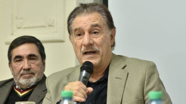 fuego amigo: para storani, al anuncio del gobierno le falta espontaneidad