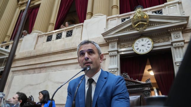 Martín Menem, a cargo del debate de las PASO.&nbsp;