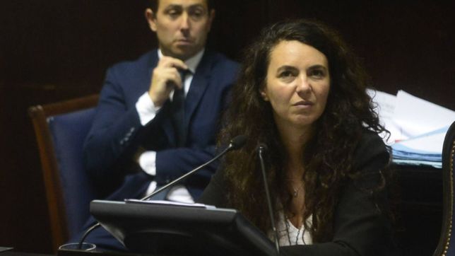 merquel, la diputada de la liga insaurralde que tomo el lugar de mosca
