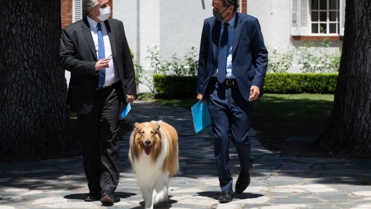 El ida y vuelta de Fernández