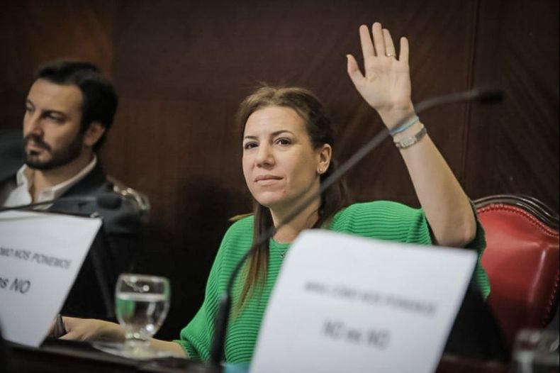 Daniela Reich, única representante de PRO Libertad en el Senado.